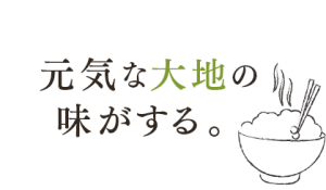 image2_copy