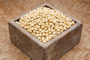 product_img004